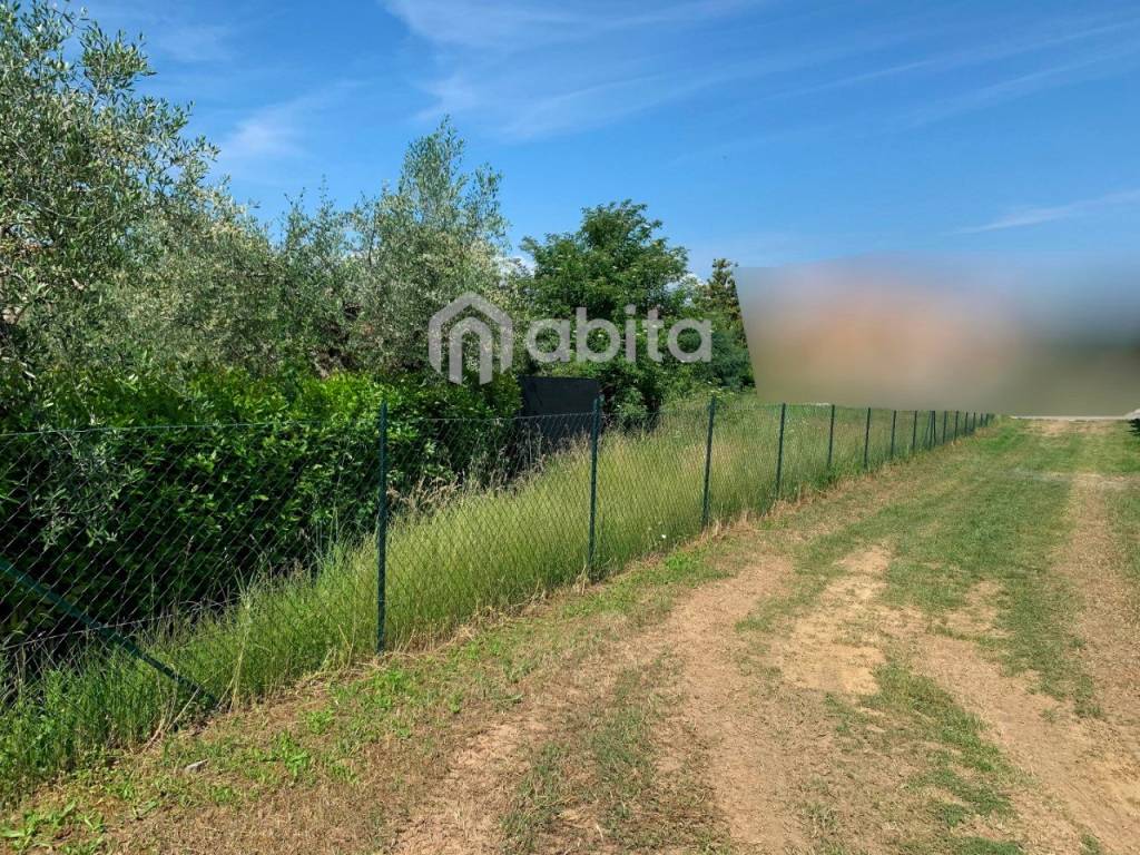 immagine annuncio 3 di 4