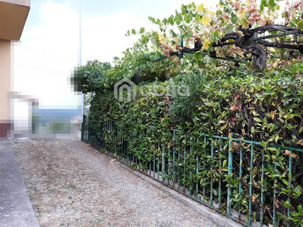 immagine annuncio 5 di 8