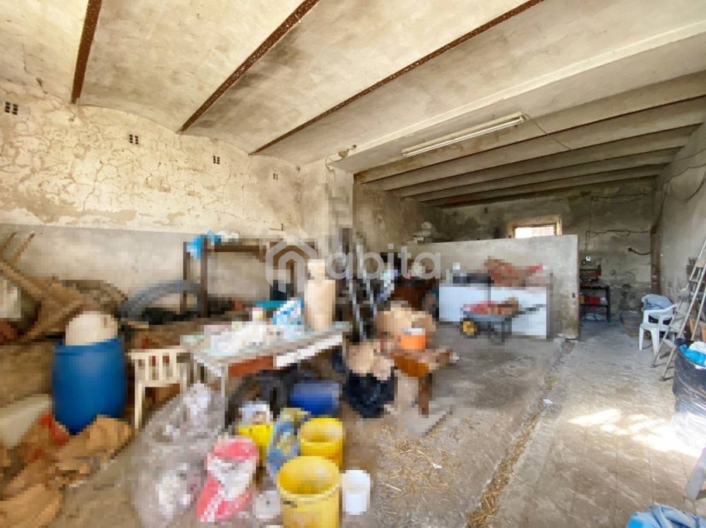 immagine annuncio 11 di 14
