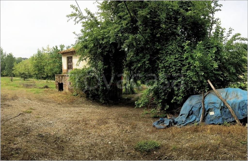 immagine annuncio 3 di 7