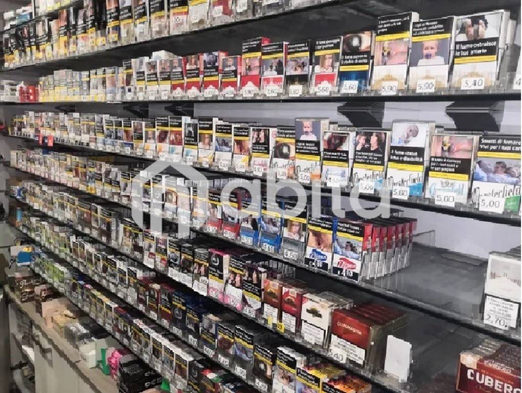 immagine annuncio 6 di 12