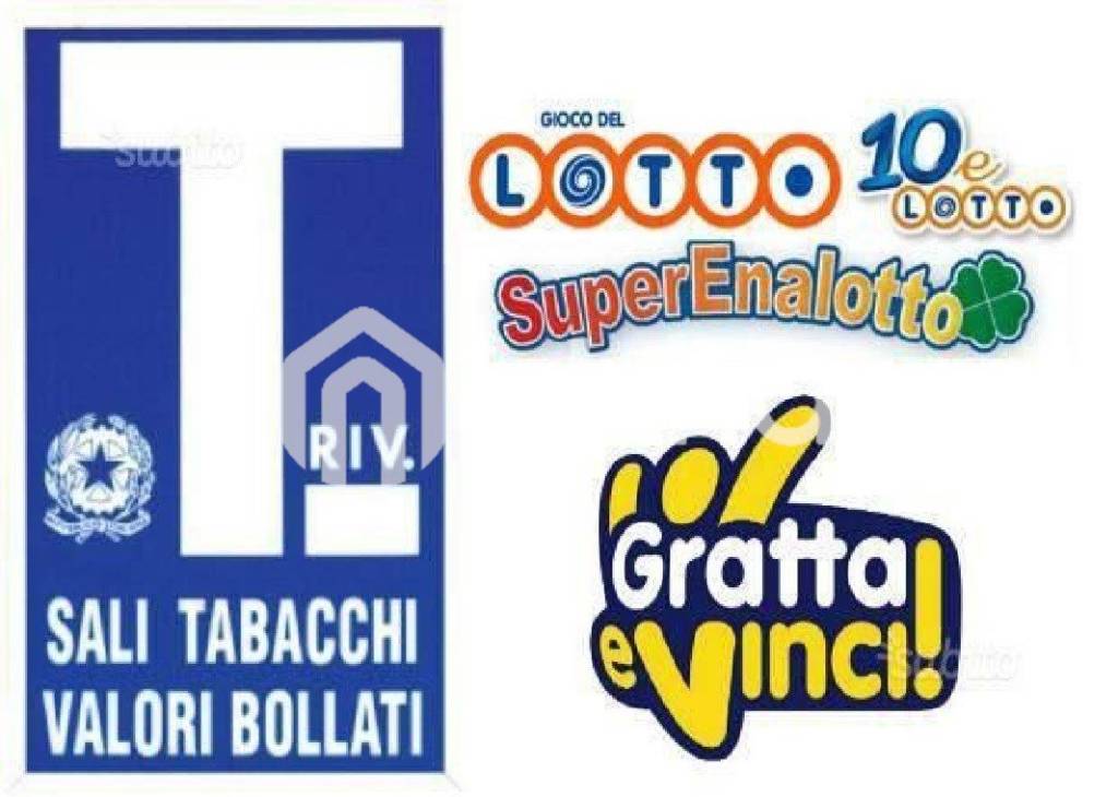 immagine annuncio 7 di 12