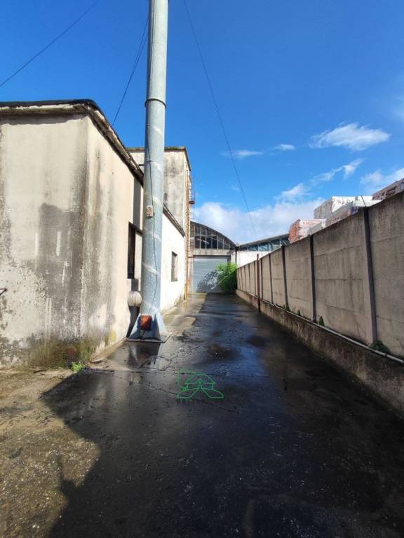 immagine annuncio 4 di 11