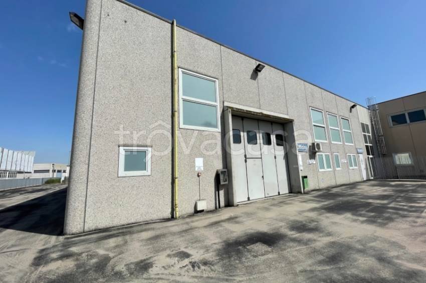 immagine annuncio 1 di 8