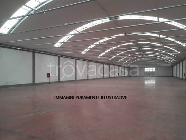 immagine annuncio 2 di 8