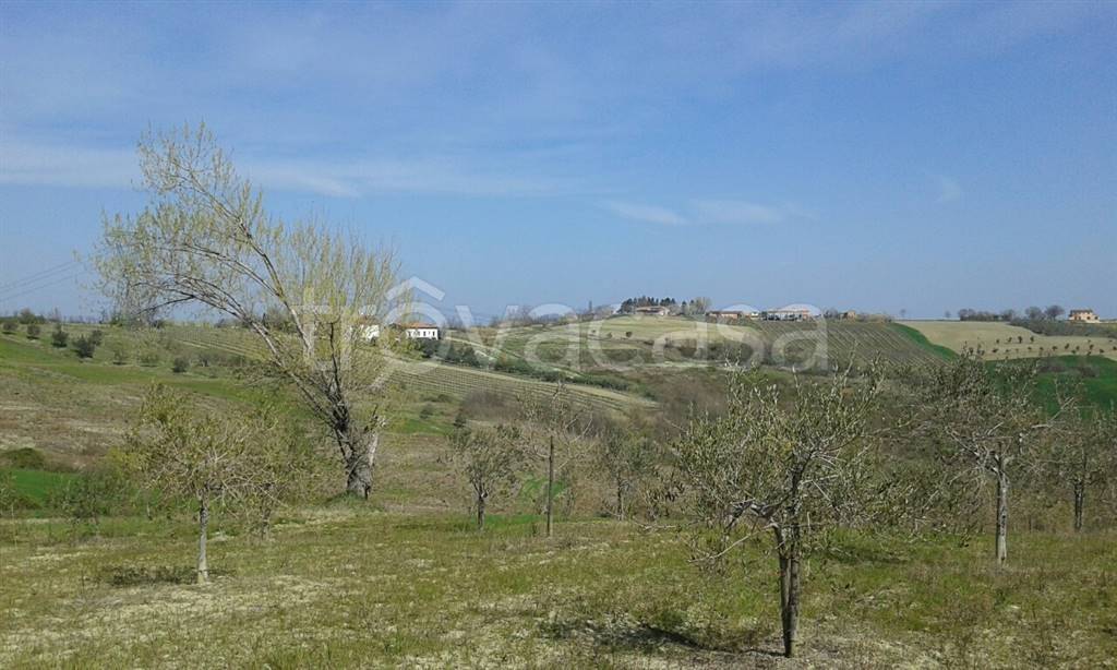 immagine annuncio 6 di 7