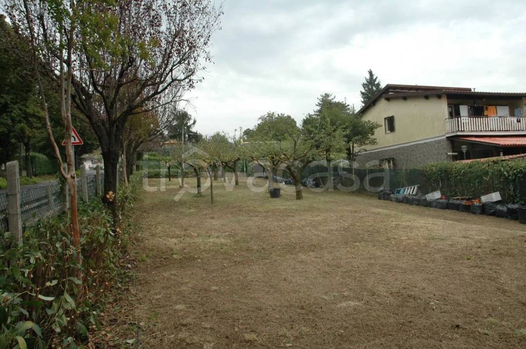 immagine annuncio 3 di 11