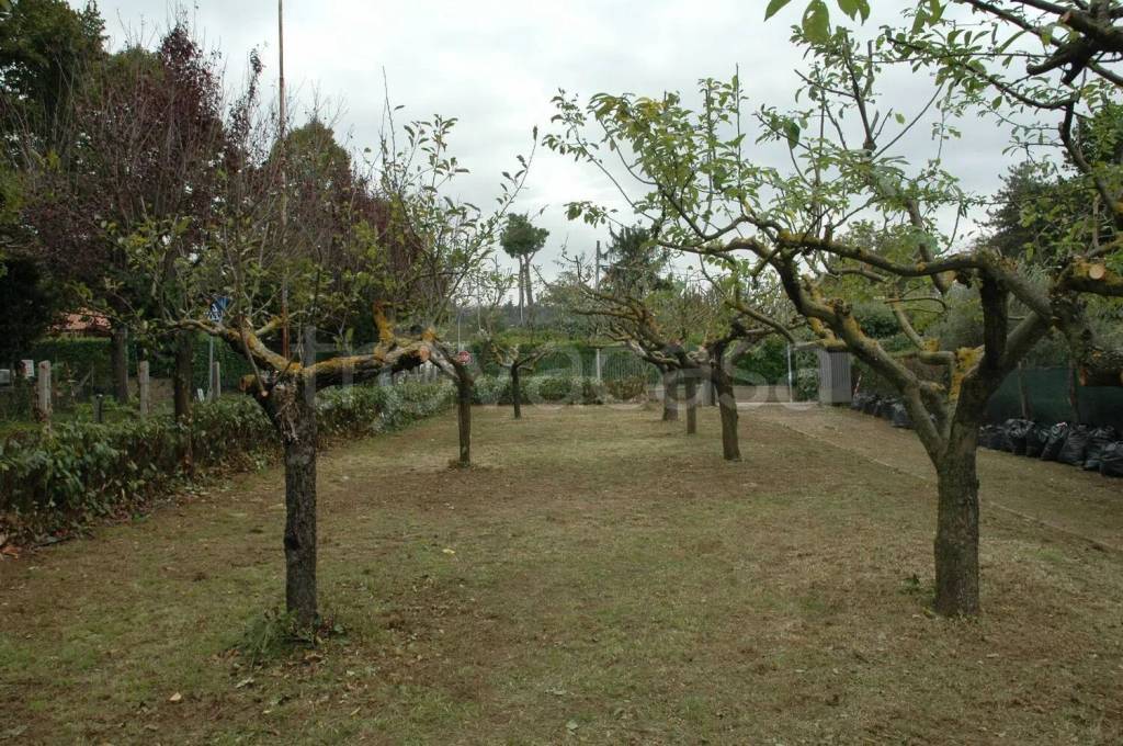 immagine annuncio 7 di 11