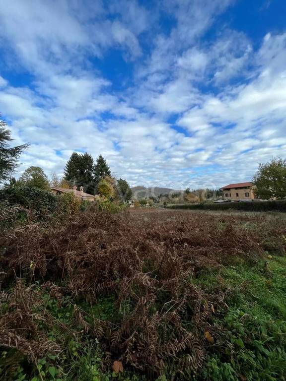 immagine annuncio 4 di 7