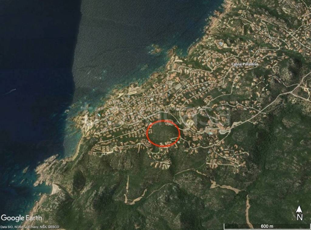 immagine annuncio 2 di 11
