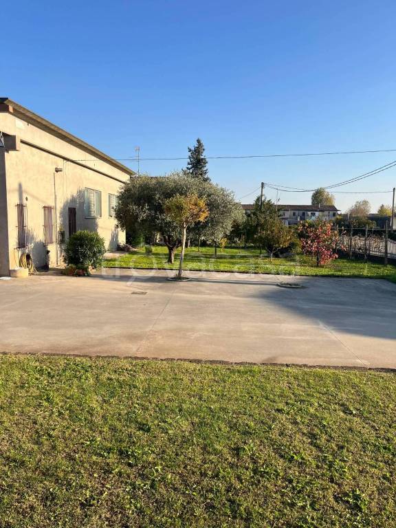 immagine annuncio 3 di 14