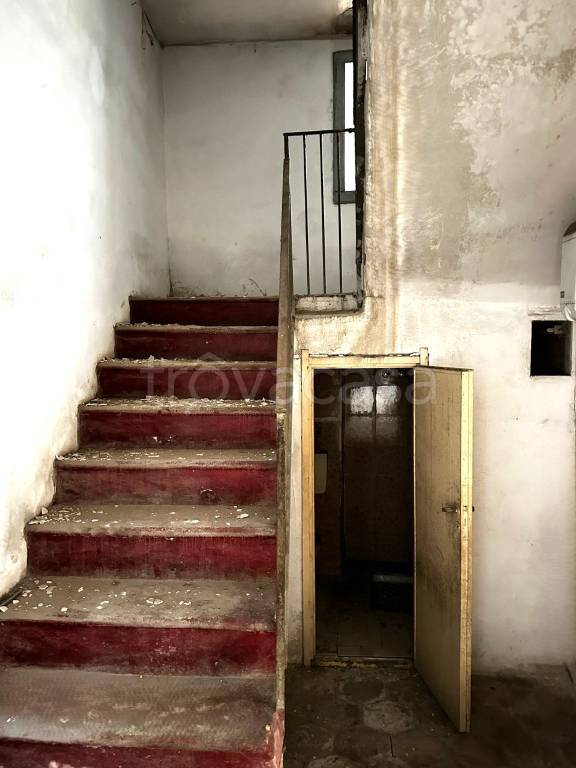 immagine annuncio 7 di 13