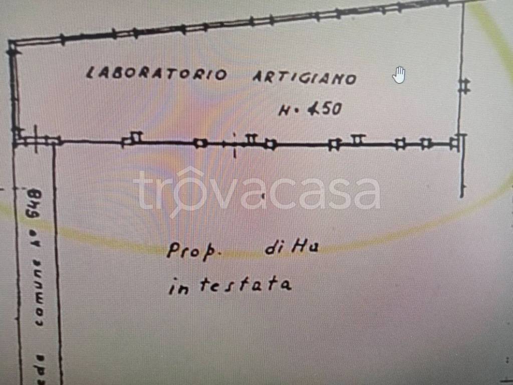 immagine annuncio 7 di 8