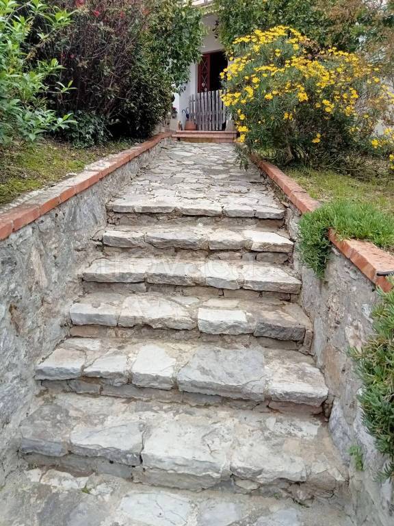 immagine annuncio 4 di 7
