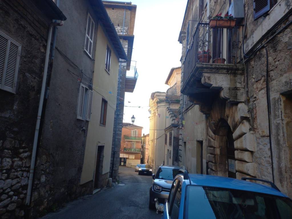 immagine annuncio 9 di 14
