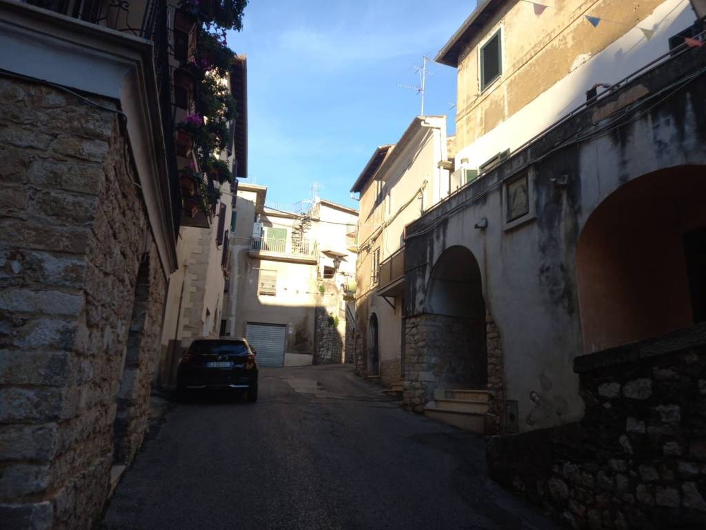 immagine annuncio 11 di 14