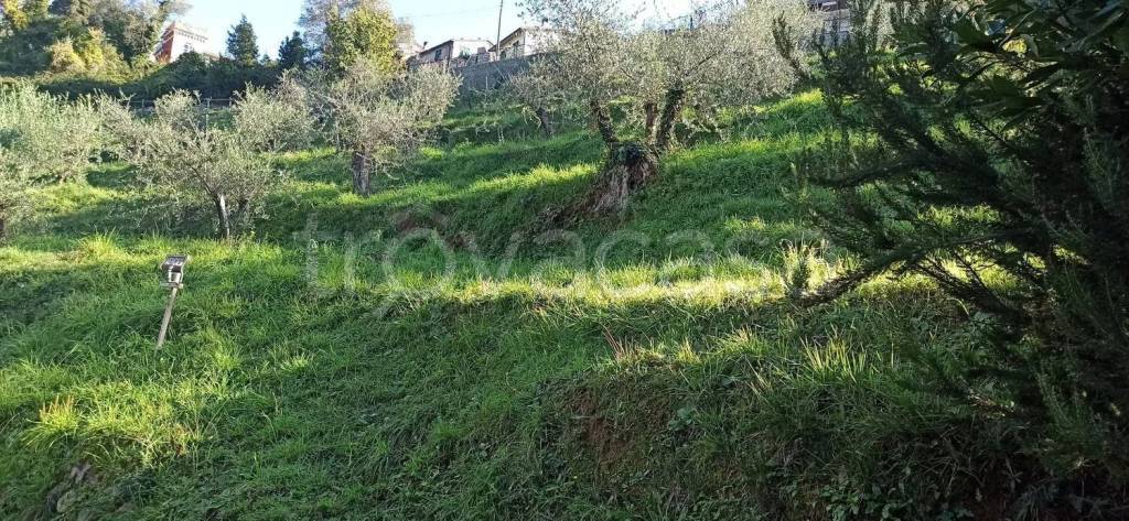 immagine annuncio 7 di 8
