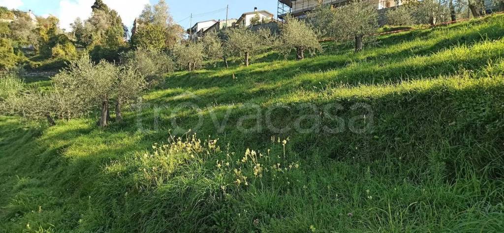 immagine annuncio 3 di 8
