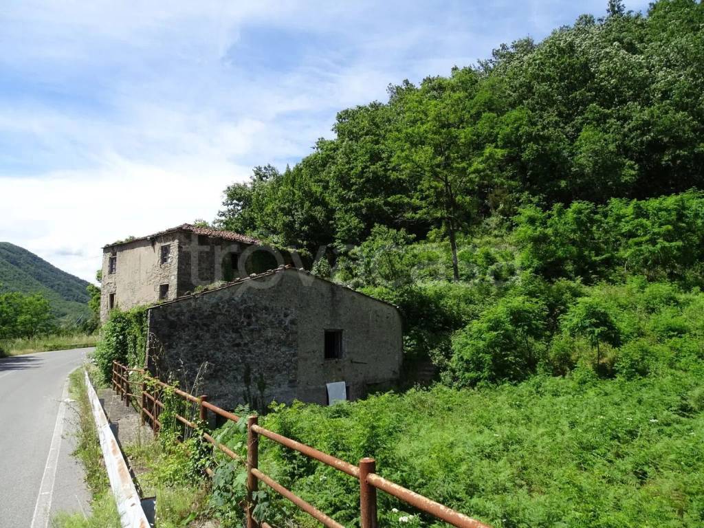 immagine annuncio 8 di 14