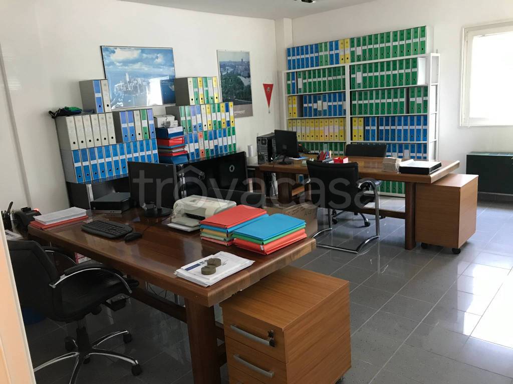 immagine annuncio 5 di 9