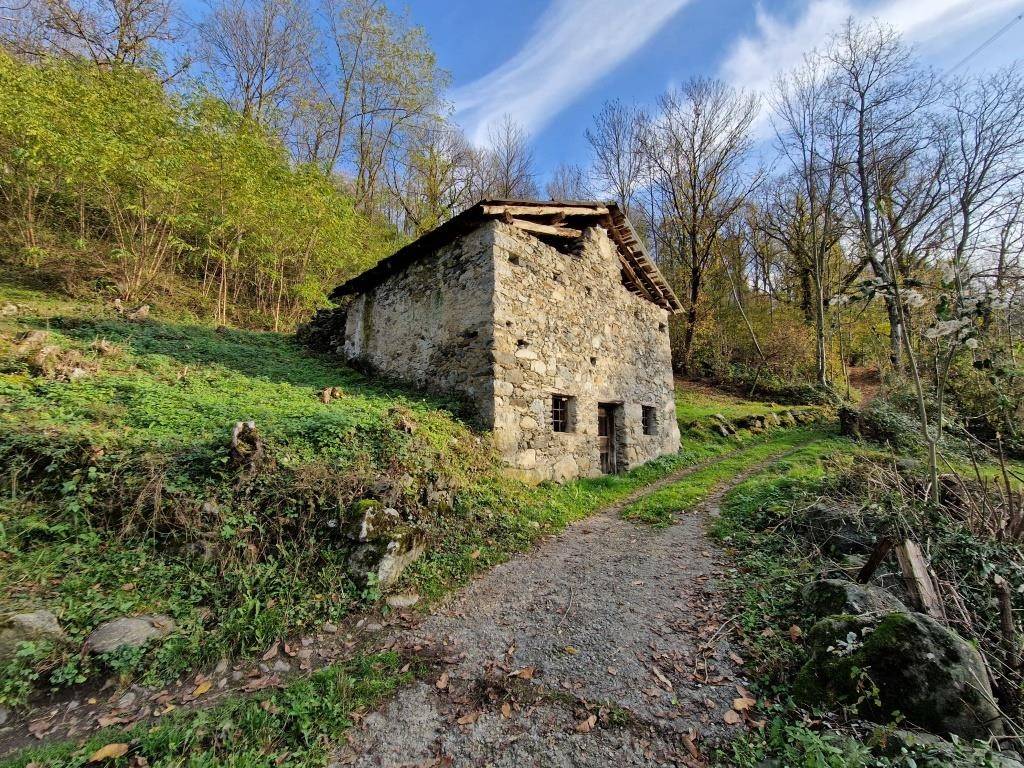 immagine annuncio 3 di 11