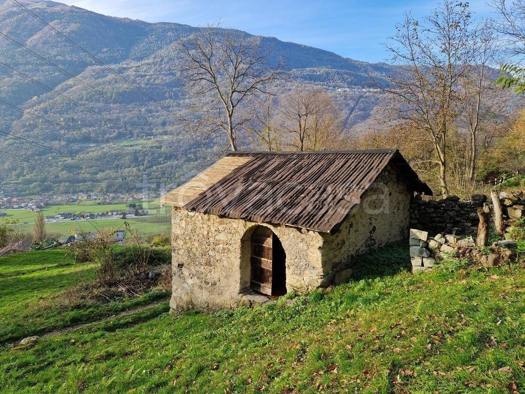 immagine annuncio 8 di 11