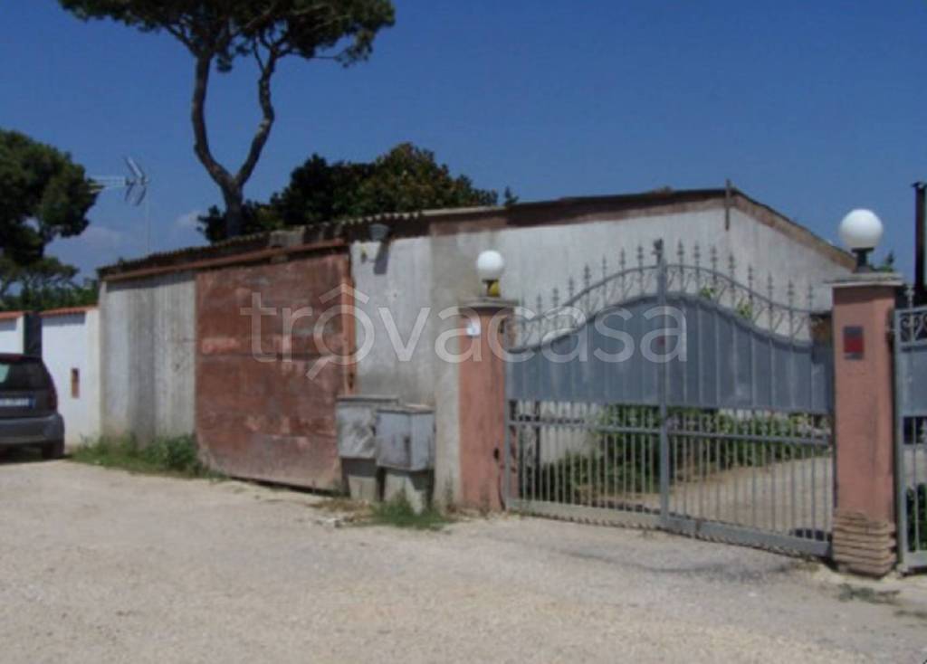 immagine annuncio 4 di 11