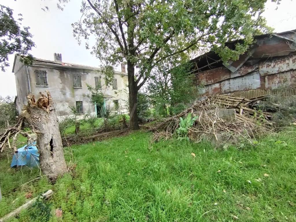 immagine annuncio 4 di 9