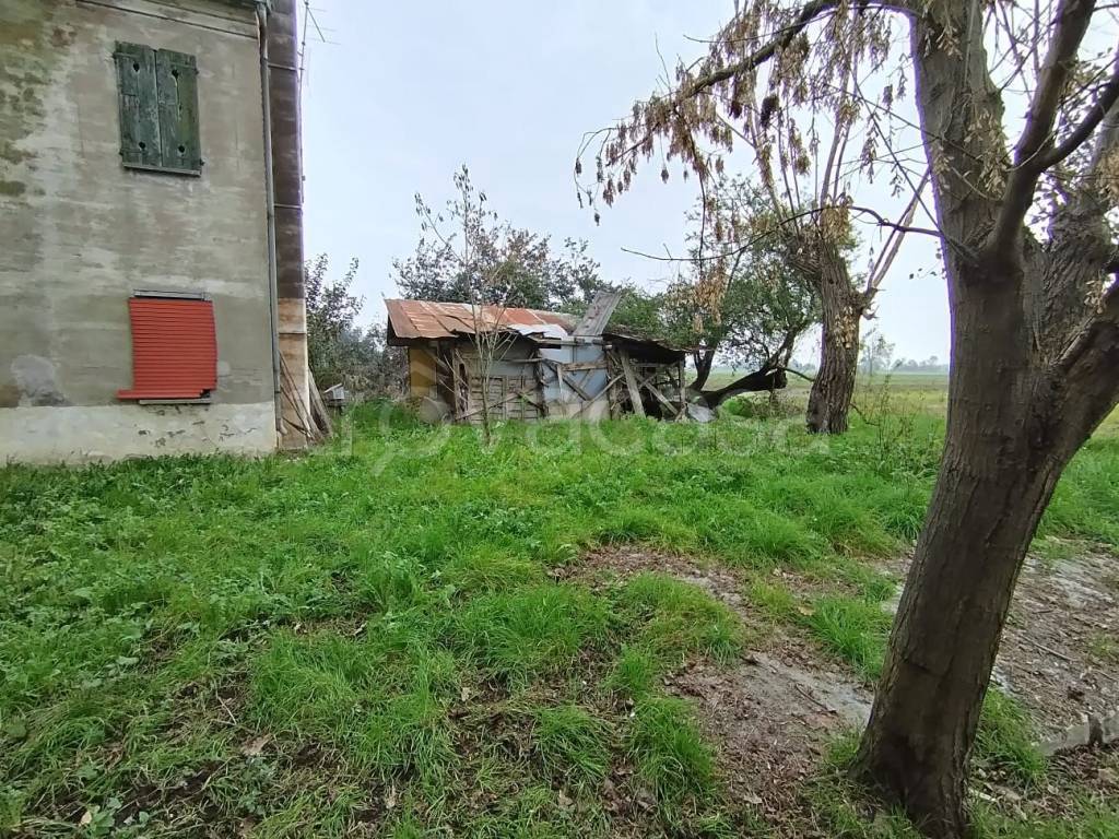 immagine annuncio 7 di 9