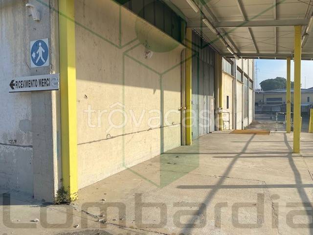 immagine annuncio 4 di 9