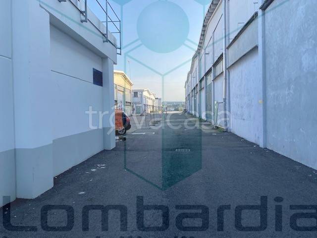 immagine annuncio 8 di 9