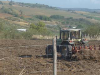 Capannone all'asta a enna via aguglia