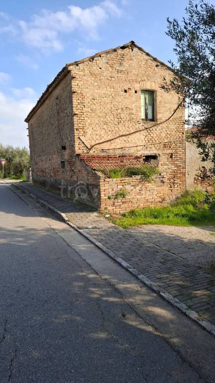 immagine annuncio 3 di 11