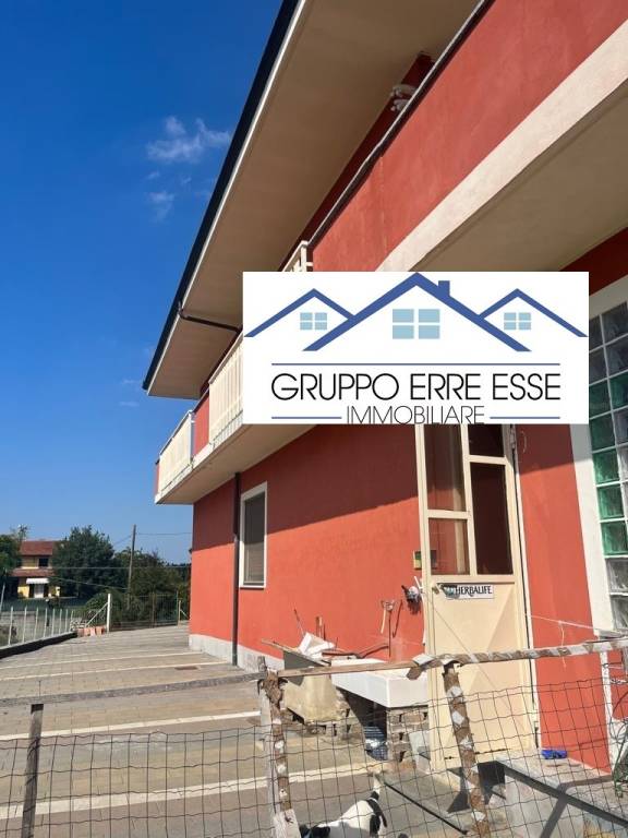 immagine annuncio 3 di 7
