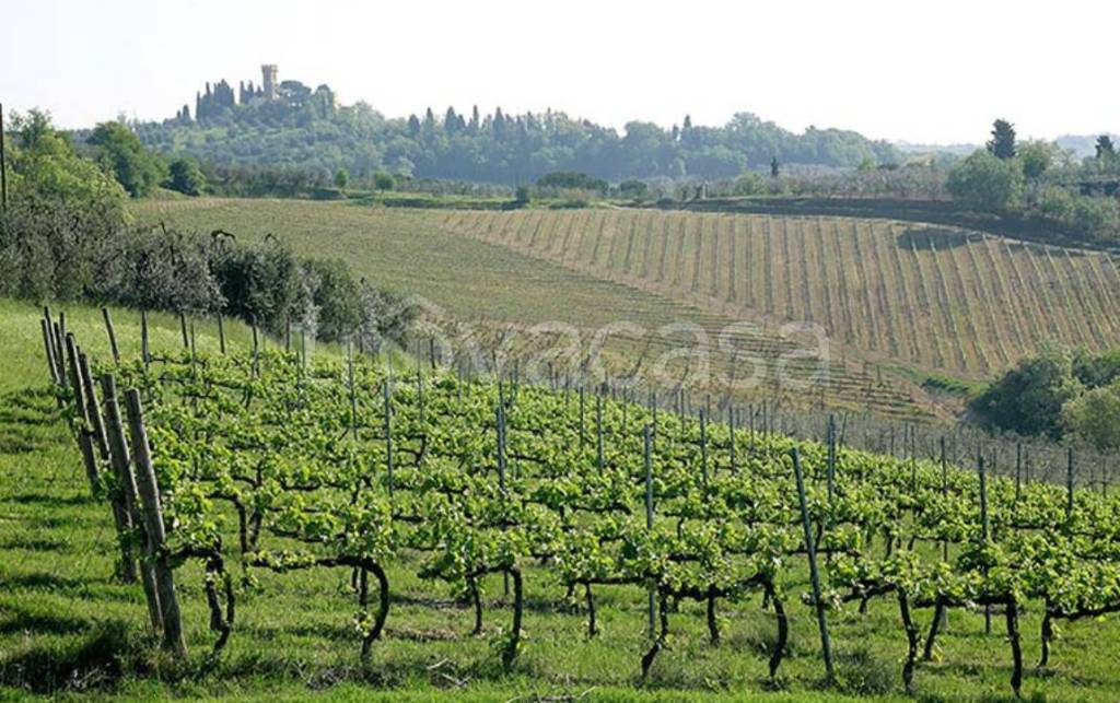 immagine annuncio 2 di 6