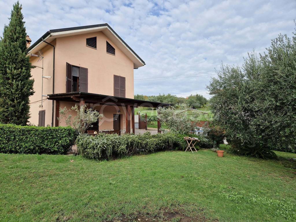 immagine annuncio 8 di 15