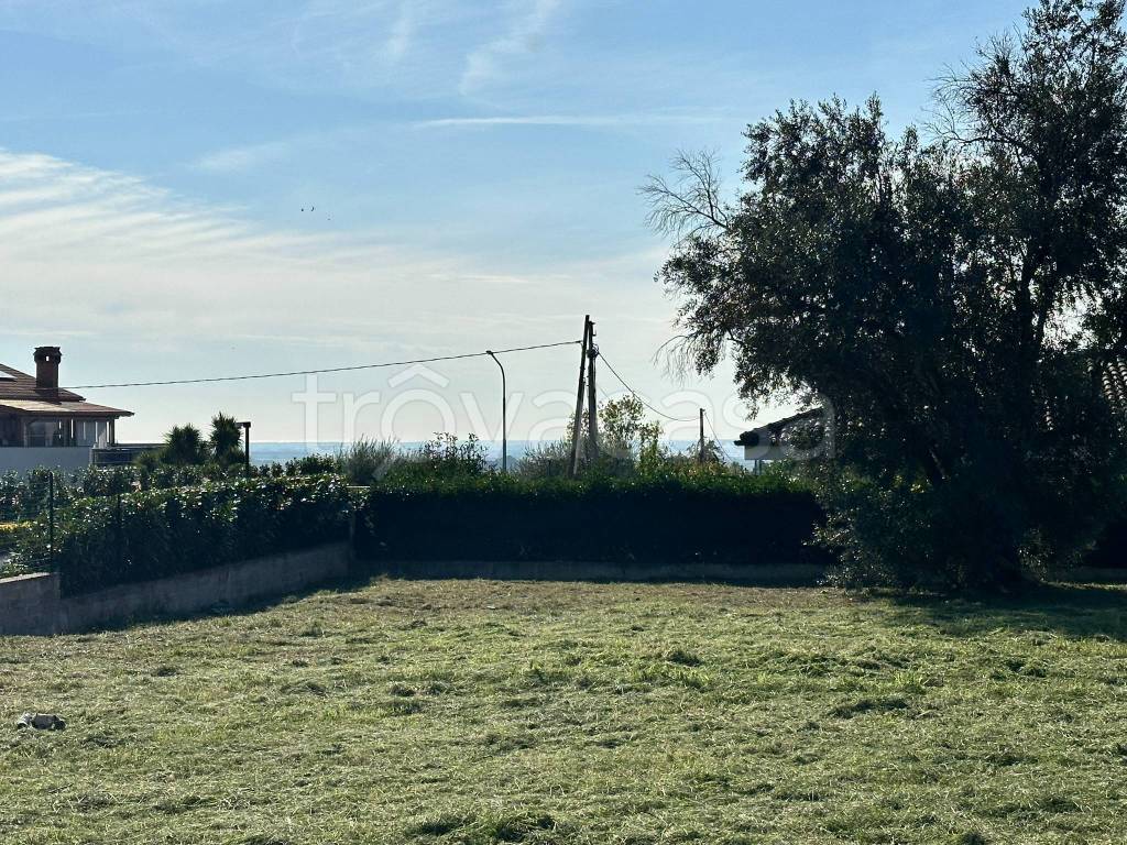 immagine annuncio 13 di 14