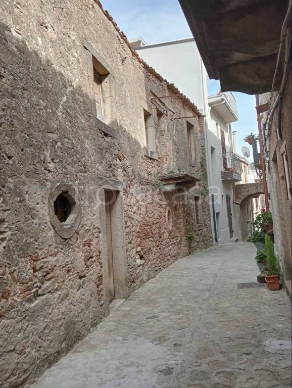 immagine annuncio 11 di 14