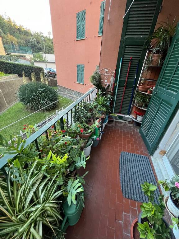 immagine annuncio 1 di 14