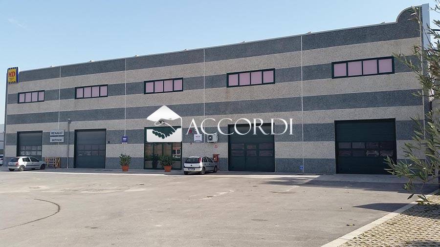 immagine annuncio 3 di 9