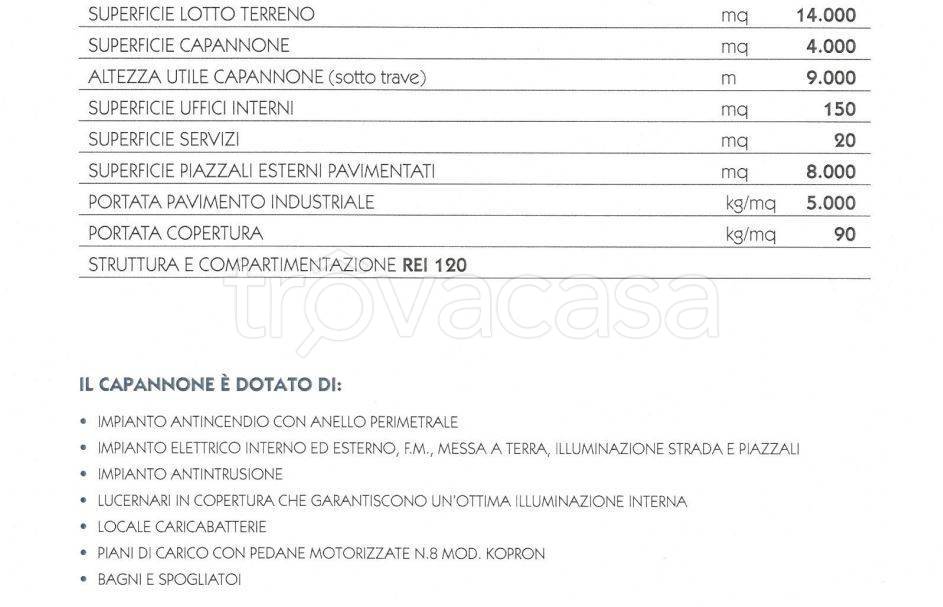 immagine annuncio 2 di 3
