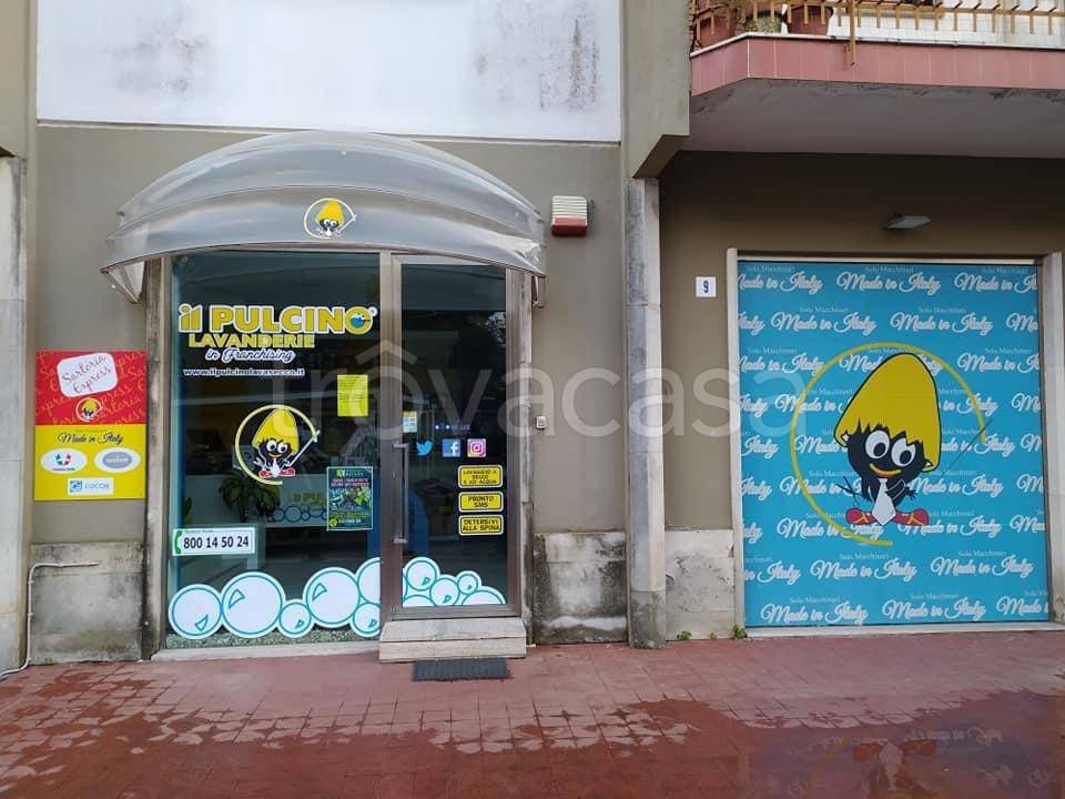 immagine annuncio 1 di 12