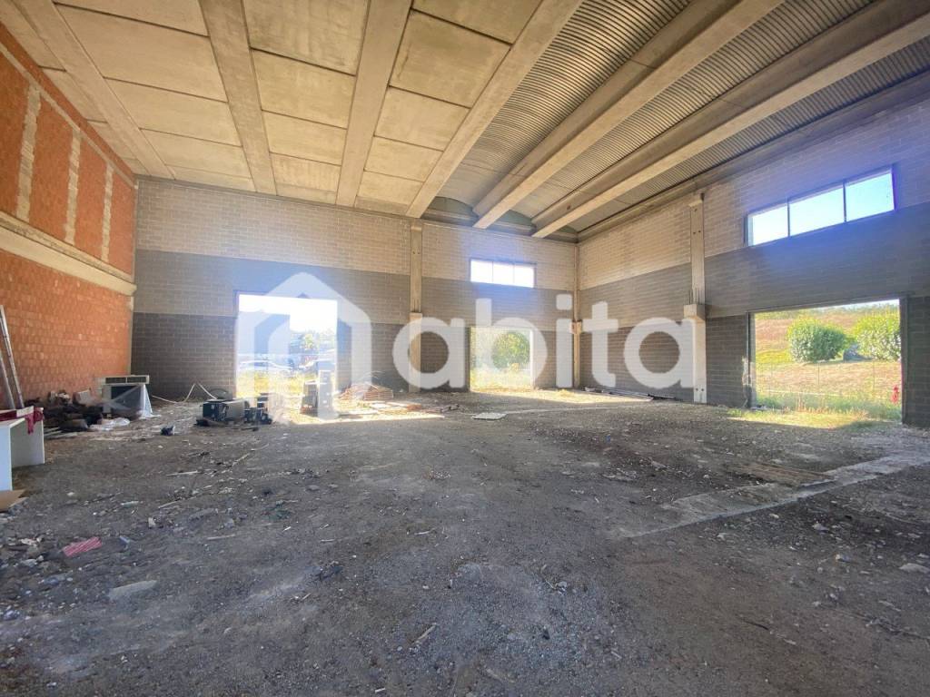 immagine annuncio 5 di 6