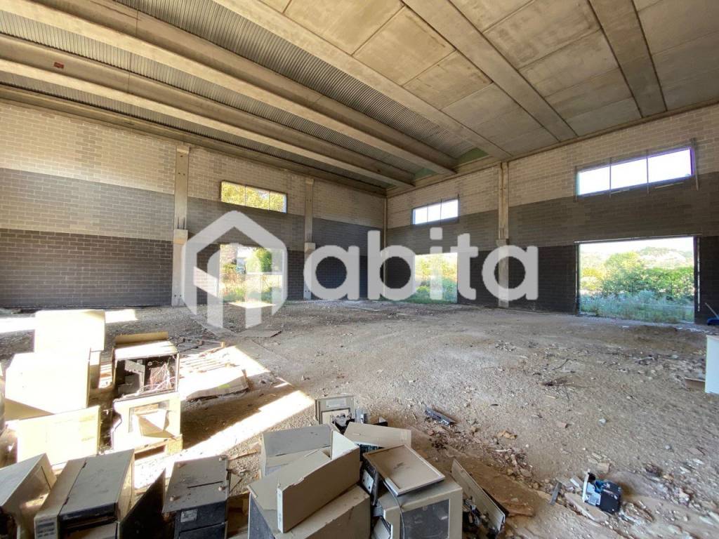 immagine annuncio 1 di 6