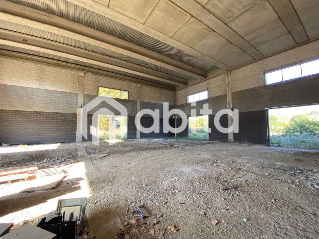 immagine annuncio 2 di 6