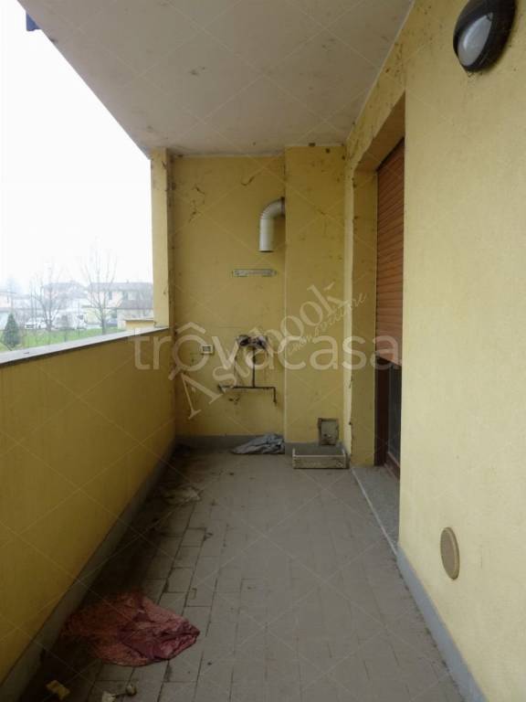 immagine annuncio 9 di 12