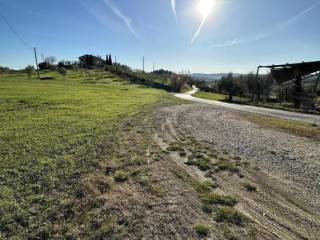 Terreno agricolo all'asta ad appignano del tronto via