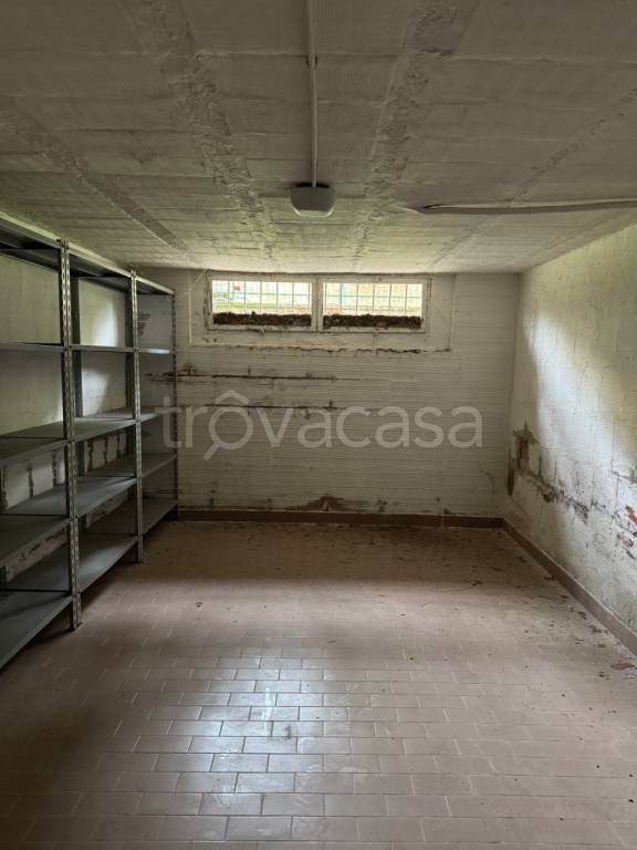 immagine annuncio 7 di 12