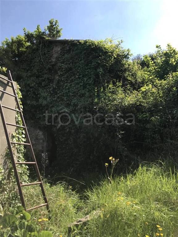 immagine annuncio 3 di 7