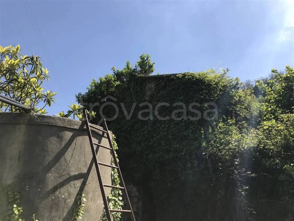 immagine annuncio 4 di 7